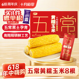 十月稻田 五常黄糯玉米 8根 3.52斤 东北甜粘玉米棒 真空包装 杂粮礼盒