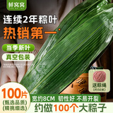 鲜窝窝 粽叶100片 大号粽子叶新鲜箬竹叶包粽子材料野生箬叶真空锁鲜