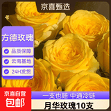 【方德玫瑰】自营云南鲜花基地直发玫瑰花情人节生日礼物3 方德40-50cm月华10支