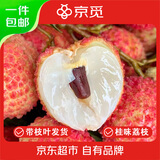京觅福建桂味荔枝 净重4.5斤 带枝叶 单果14g 新鲜水果源头直发包邮