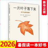 一片叶子落下来：关于生命的故事 7-10岁爱心树绘本童书亲子故事幼儿启蒙精装图画书