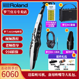 罗兰AE20电吹管AE-30旗舰款吹管电子萨克斯管乐AE10升级款 AE20+吹嘴+AC音箱+电池+耳机礼包