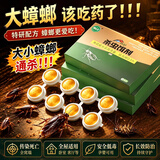 巨奇猫山王蟑螂药杀蟑饵剂全窝端家用非无毒屋贴胶饵驱灭蟑神器8枚/盒