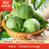 京鲜生 绿宝香瓜甜瓜  净重3斤起 3-6粒装 生鲜水果