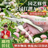 安赛瑞 修枝剪刀果树剪园艺剪 盆栽剪花卉工具园林绿植5J00327