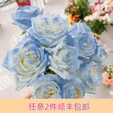 芊芊细语斗南基地直批发玫瑰鲜花全国速递配送女友礼物家用水养插花家庭 喷色碎冰蓝玫瑰18支+2支防损