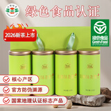 日照绿茶2026新茶浓香型板栗香桶装口粮茶500g绿色认证山东特产礼品