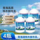 青海湖鲜牛奶 牦牛鲜牛乳400ml*4 低温牛奶 巴氏杀菌