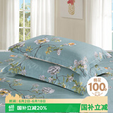 艾薇 A类枕头套纯棉家用全棉单人枕套一对枕芯套 清馨花园 48*74cm