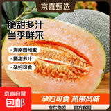 海南西州蜜哈密瓜脆甜多汁应季整箱批发孕妇可食冷藏鲜果
