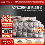 水星家纺羽绒被95%白鹅绒被子冬季加厚冬被芯双人羽绒被220cm×240cm1200g