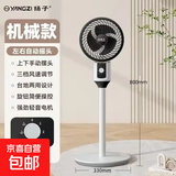 扬子（YANGZI）电风扇家用落地扇空气循环扇节能制冷宿舍卧室办公室冷风扇大风力摇头台立两用节能 【旋钮调节+左右摇头】-经典扁头款