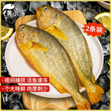 黄小渔宁德深海大黄鱼650g/2条黄花鱼深海鱼 生鲜鱼类 海鲜水产