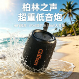 CLAISON音箱蓝牙音响30W大功率高音质音量超重环绕立体低音炮家用户外防水便捷式迷你桌面小钢炮长续航 顶配pro【全频澎湃重低音 丨杜比级 HIFI 调校】T128