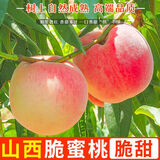 飘香果度正宗山西新鲜采摘水蜜桃脆桃毛桃子整箱 净重4.5斤【单果90-110g】泡沫托盘