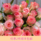 芊芊细语斗南基地直批发玫瑰鲜花全国速递配送女友礼物家用水养插花家庭 艾莎玫瑰18支+2支防损