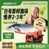 美威冷冻智利进口三文鱼礼盒净重6kg整条轮切大西洋鲑鱼端午节送礼
