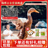 杨博士皖南整只老鸭2只 净重4斤土鸭溪水河鸭肉炖汤红烧源头直发