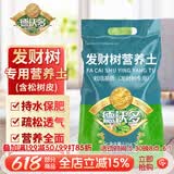 德沃多发财树专用植物营养土2.6kg园艺绿植盆栽养花土种植基质土