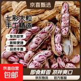 【精品大粒】云南新鲜七彩花生手工挑选带皮湿花生水果新鲜蔬菜 4斤-净重