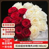 京东鲜花玫瑰组合【红色+白色】20枝经典配色山东基地表白传爱意源头直发