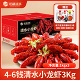 洪湖渔家清水小龙虾（4-6钱净虾2.7kg）3kg送晓飞歌料包 无添加26年新虾