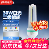 洛林（ROLin）led灯泡节能灯泡 e27大螺口家用商用大功率光源 30W白光