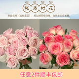 芊芊细语斗南基地直批发玫瑰鲜花全国速递配送女友礼物家用水养插花家庭 组合-艾莎玫瑰20支+粉玫瑰20支+送保鲜剂