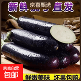 山东新鲜绿把紫皮长茄现摘现发新鲜嫩茄新鲜时令蔬菜生鲜 新鲜精选紫茄带箱4斤 3.8斤 净重