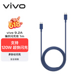 vivo9.2A 编织闪充数据线 1m 蓝紫双Type-C口 支持120W超级闪充 支持多协议设备 X300数据线X200数据线