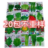 20款不重复四季蔬菜种子种子小葱种子蔬菜种子组合装青菜种子混装 20包优质良种不重复【厂家直卖】 原厂优质良种【收芽率高】新店冲