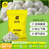 史丹利白石子水培石子天然铺面石白色鹅卵石原石庭院石头造景花盆 5斤