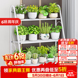 蜗家花架铁艺客厅室内阳台落地式多层置物架简约现代阶梯花盆架