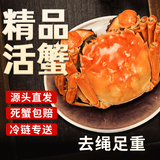 【活蟹】湖中秋色大闸蟹3.0-3.3两8只去绳足重六月黄螃蟹鲜活海鲜生鲜水产礼盒源头直发