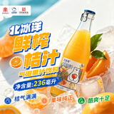 北冰洋鲜榨桔汁汽水气泡果汁碳酸饮料236mI*12整箱20%果汁火锅聚餐