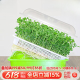 德沃多育苗盘芽苗菜苗种植盘保温育苗盆水培发芽盆普通加密盘