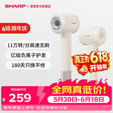 夏普【新品】吹风机家用电器电吹风高速电风吹速干轻音正负离子大风力智能温控护发养发低音 【性价比】奶茶色IB-RP45C-P