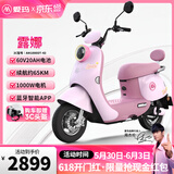爱玛（AIMA）铅酸超长续航电动车电瓶车女士时尚成人代步外卖电动摩托车露娜 嘟嘟粉【智能互联+1000W电机】