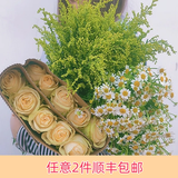 芊芊细语斗南基地直批发玫瑰鲜花全国速递配送女友礼物家用水养插花家庭 10朵香槟玫瑰+洋甘菊+送黄英+送保鲜剂