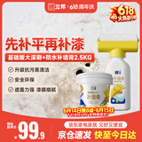 立邦墙面修复补墙膏补墙漆防水防霉抗菌堵洞腻子膏白色 500g+2.5kg