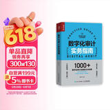 数字化审计实务指南（人邮普华出品）