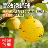 诱蝇神器果蝇诱捕球配合灭蚊灯粘蝇小飞虫灭杀神器室内去除蚊虫蚊子克星厨房蠓虫粘虫球诱苍蝇诱捕器 悬挂诱蝇球-黄色 一只装（袋装）