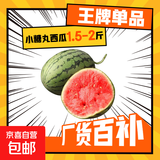 【东东农场专供】全美甘肃2K小糖丸西瓜 2K小糖丸1.5斤-2斤净重1.5斤+