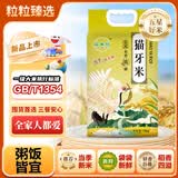 谷丰领猫牙米一级大米优质南方米当季新米正宗丝苗米长粒香大米煲仔饭 正宗猫牙米20斤*1袋
