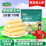 华田禾邦【26年头茬】云南拇指玉米2斤(16-22根) 儿童甜糯小拇指玉米棒