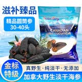 Oceanfairy加拿大野生淡干海参北极参红极参圆筒袋装滋补佳品454g
