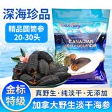 Oceanfairy加拿大进口野生淡干海参北极参 送长辈滋补佳品 454g