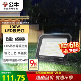 公牛（BULL）LED投光灯户外庭院工厂园林灯露营灯 IP65防水等级100W-6500K白光