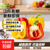 彩椒五彩甜椒水果圆椒不辣太空椒灯笼椒新鲜可即食减脂蔬菜 山东彩椒红+黄5斤净重4.6斤