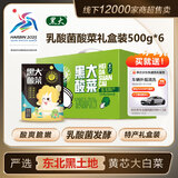 黑大东北酸菜丝 绿色礼盒装500g*6 乳酸菌酸菜东北特产 送洗车